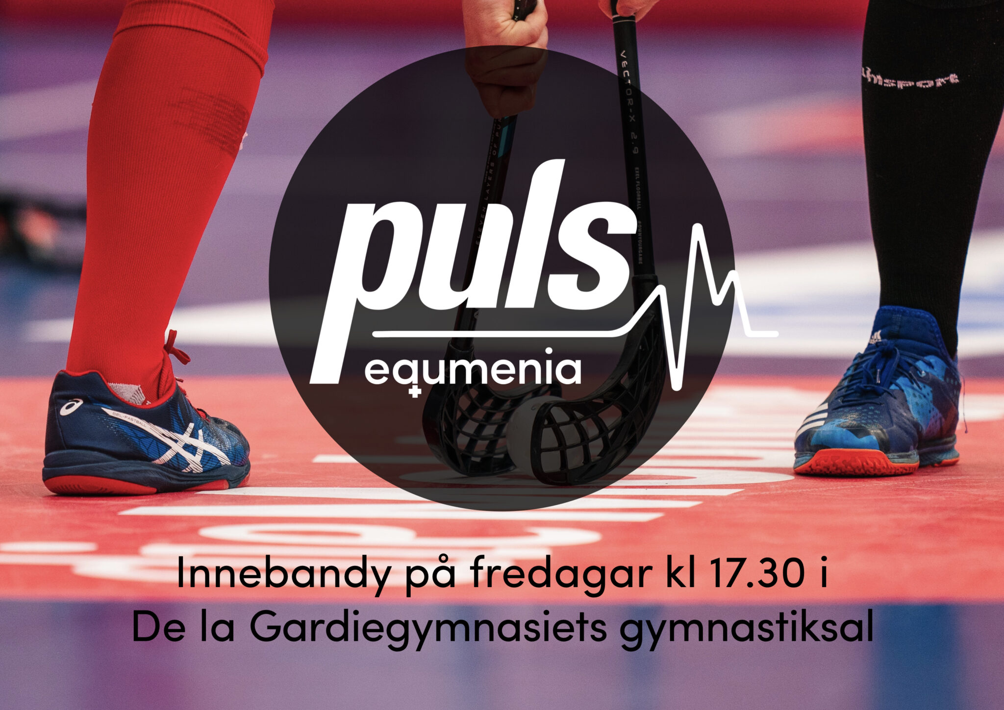 Puls innebandy
