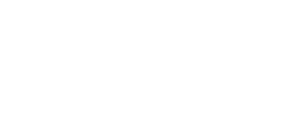 bilda-vit